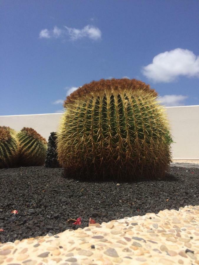 Los Panelos B1 Puerto del Carmen  Exteriér fotografie